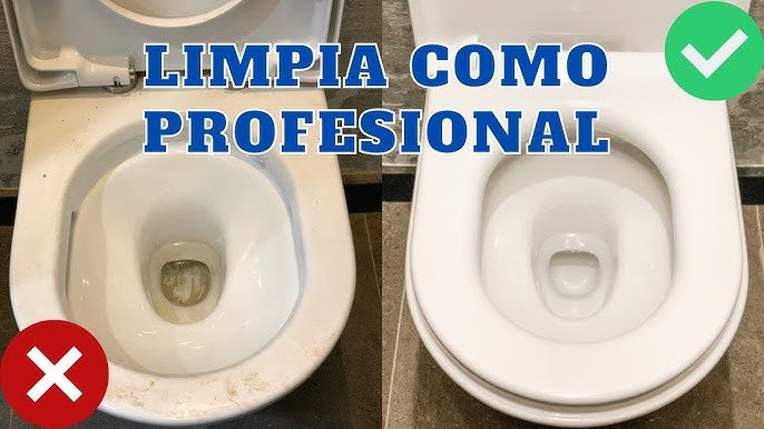 Cómo Limpiar El Baño a Fondo