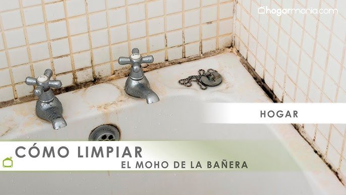 Cómo Quitar El Moho Del Baño